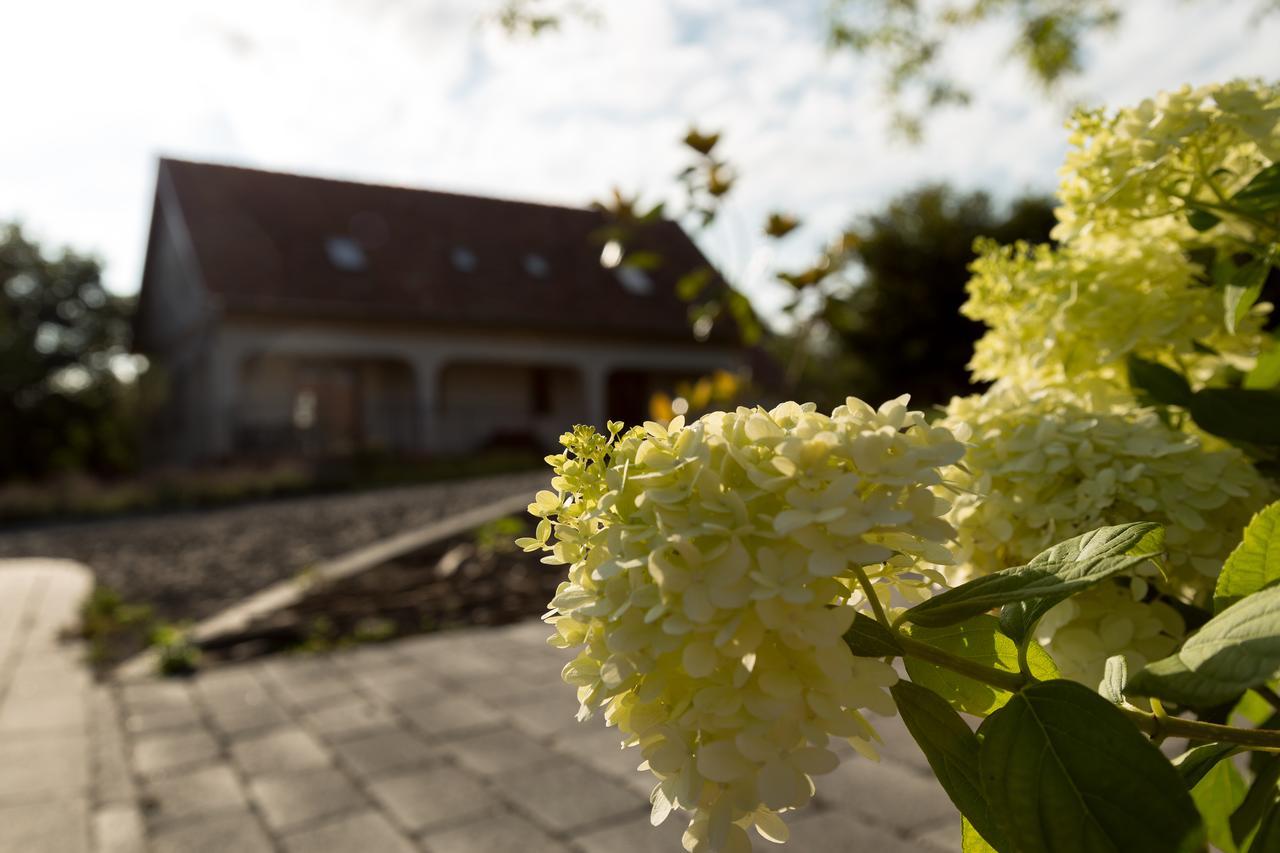 Radhe Resort Es Syam Meditacios Es Rendezvenykozpont Somogyvámos Buitenkant foto