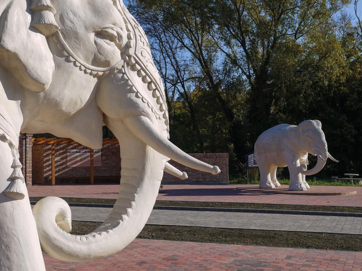 Radhe Resort Es Syam Meditacios Es Rendezvenykozpont Somogyvámos Buitenkant foto
